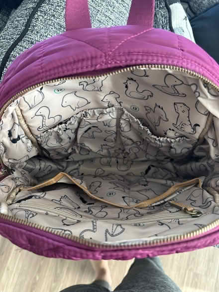 Photo of free Diaper bag (Boston ma) #3