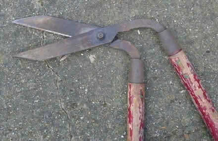 Photo of free Lawn Edge Side Cutters (Hassocks BN6) #1
