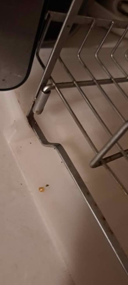 Photo of free Drying rack (RWC) #1