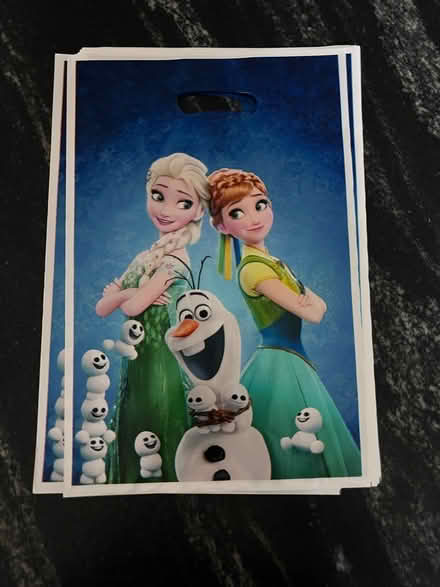 Photo of free 13 Frozen Party Favor Bags (Vienna NE) #1