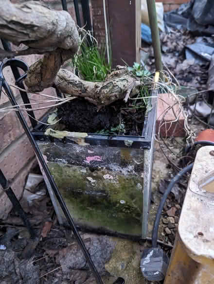 Photo of free Little acquarium (SG2) #1