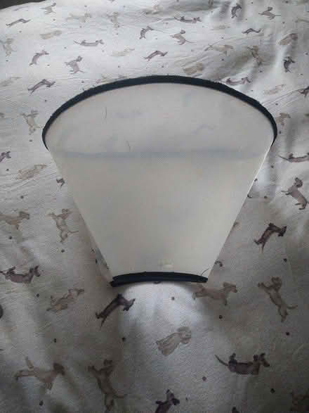 Photo of free Medical Dog Cone (Gosport PO12) #1