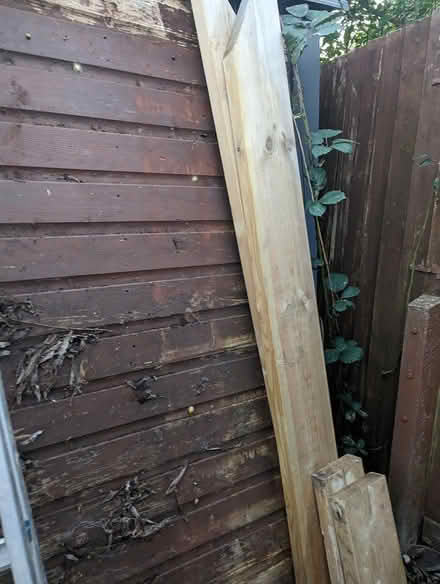 Photo of free Wooden panel and pallet (SG2) #3