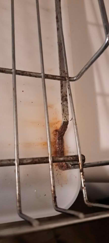 Photo of free Drying rack (RWC) #4