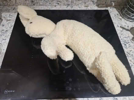 Photo of free Soft toy (lamb) made from kit (Shoreham-by-Sea BN43) #1
