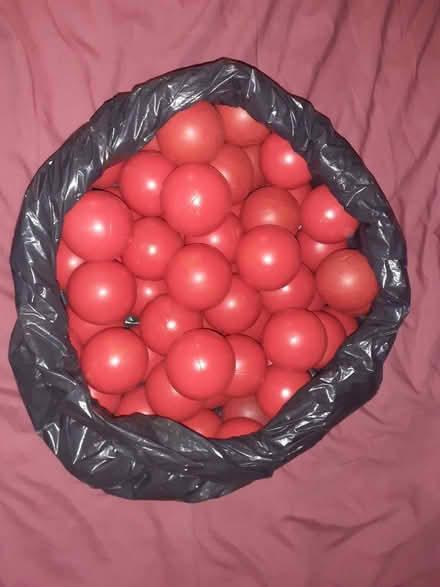 Photo of free 48 red Ball Pond balls (Lower Higham ME3) #2