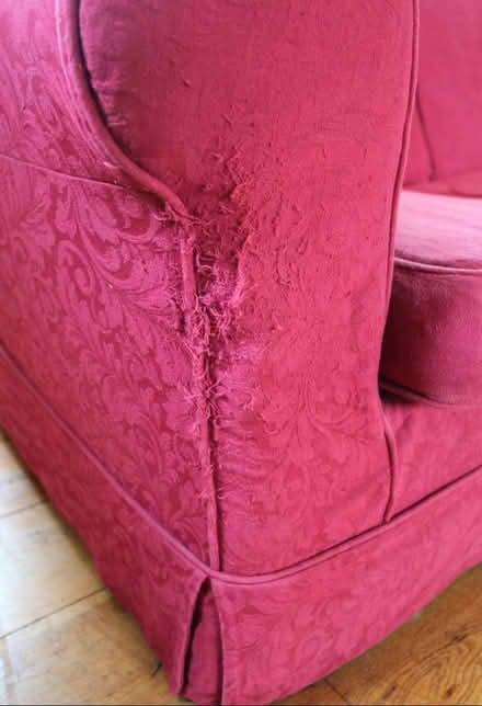 Photo of free Small two seater sofa (Clayhill TN31) #3