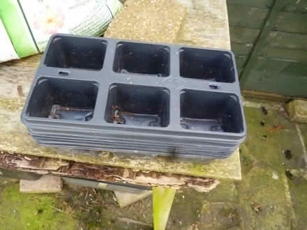 Photo of free more trays to plant seeds in (Starbeck HG2) #1