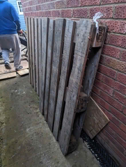 Photo of free Wooden panel and pallet (SG2) #2
