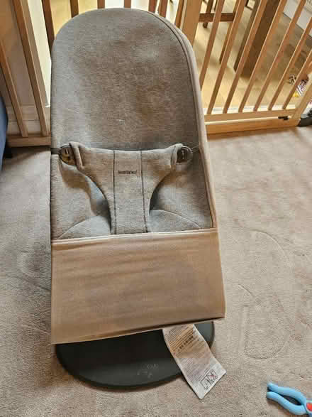 Photo of free Baby bjorn bouncer (AL1) #1