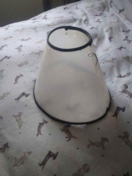 Photo of free Medical Dog Cone (Gosport PO12) #2