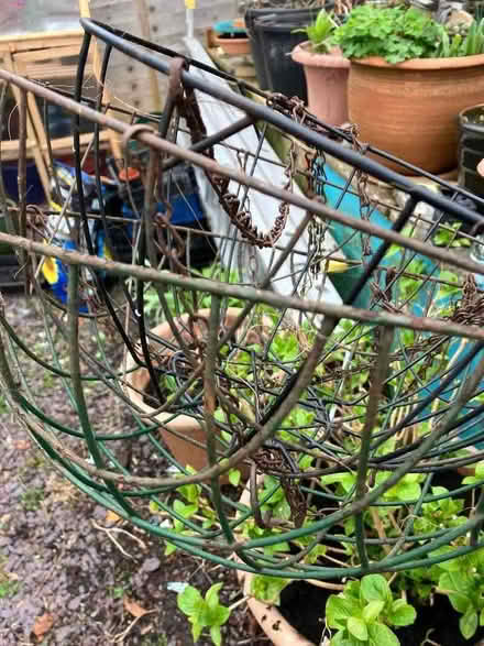 Photo of free Hanging baskets (Carlton Hill BN2) #1