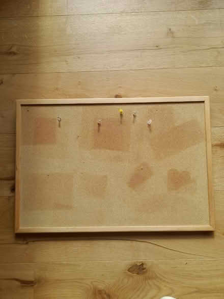Photo of free Cork Board (Norfolk Park S2) #1