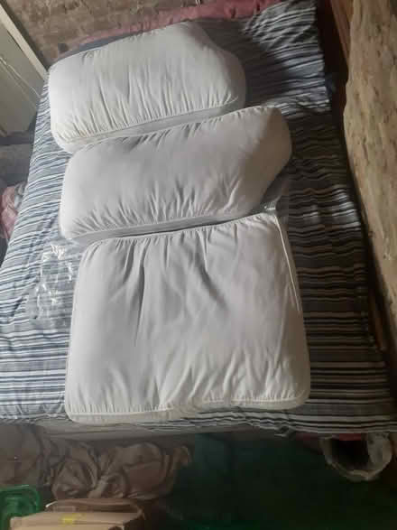 Photo of free Big sofa cushions (Lower Higham ME3) #3