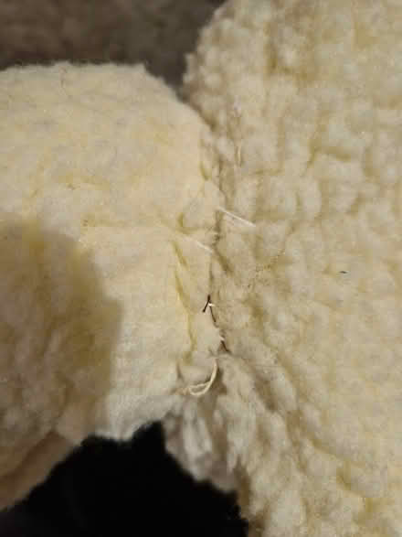 Photo of free Soft toy (lamb) made from kit (Shoreham-by-Sea BN43) #2