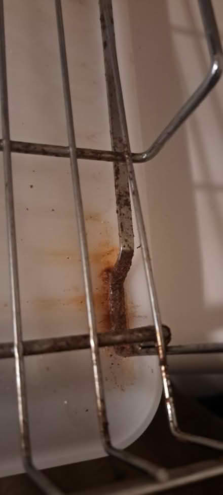 Photo of free Drying rack (RWC) #3