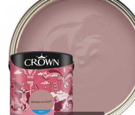 Photo of Paint (Ludlow SY8) #1