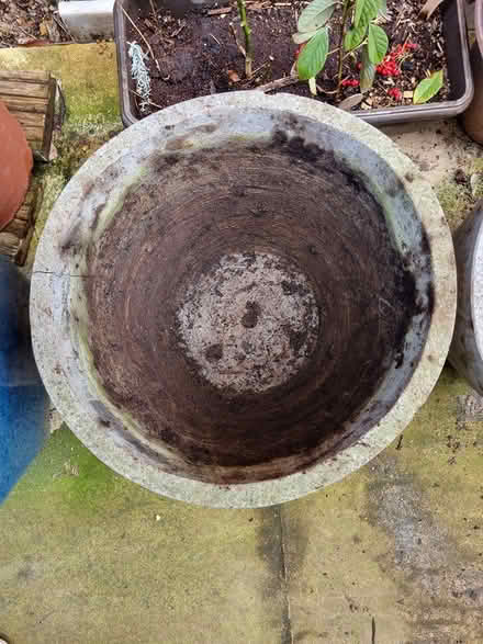 Photo of free Garden pots (Putney SW15) #3