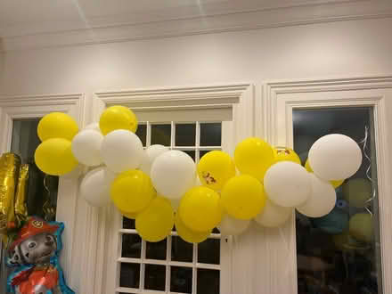 Photo of free Ballon Arch/ Garland (Cheam) #2