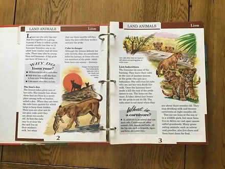 Photo of free Little Ark - world of animals (Burnham SL1) #3