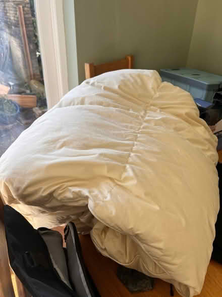 Photo of free Single duvet (SW11) #1