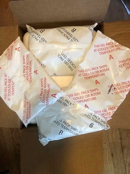 Photo of free styrofoam coolers and gel packs (Remington & Prospect) #1