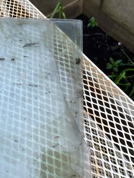Photo of free Greenhouse glass corners (Blyth) #2