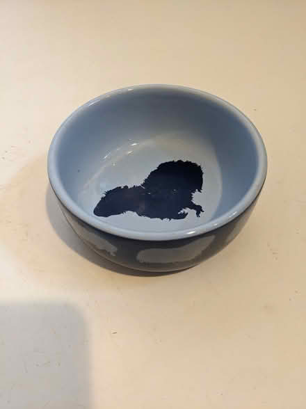 Photo of free Guinea pig food nuggets 1.6kg bag. 4.5" bowl (Ranmoor S10) #2