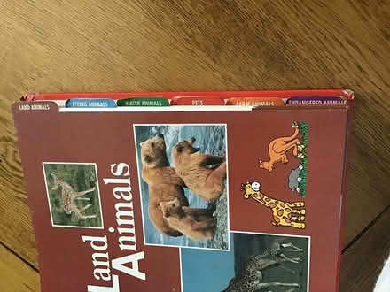 Photo of free Little Ark - world of animals (Burnham SL1) #2