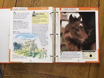 Photo of free Little Ark - world of animals (Burnham SL1) #4
