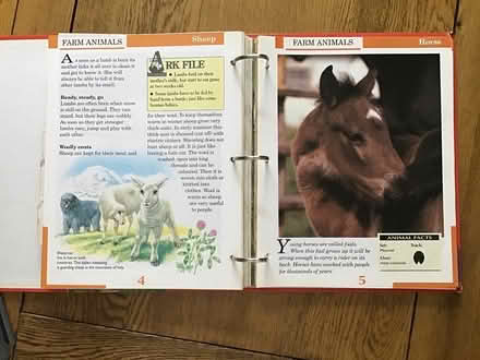 Photo of free Little Ark - world of animals (Burnham SL1) #4