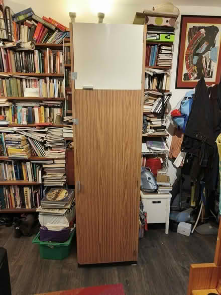 Photo of free Tall 70s Brighton kitchen cupboard (Earlswood RH1) #1