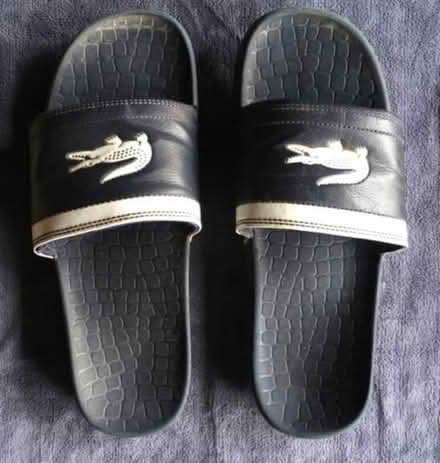 Photo of free L’acoste Sliders size 8 (Little Hadham, SG11) #1