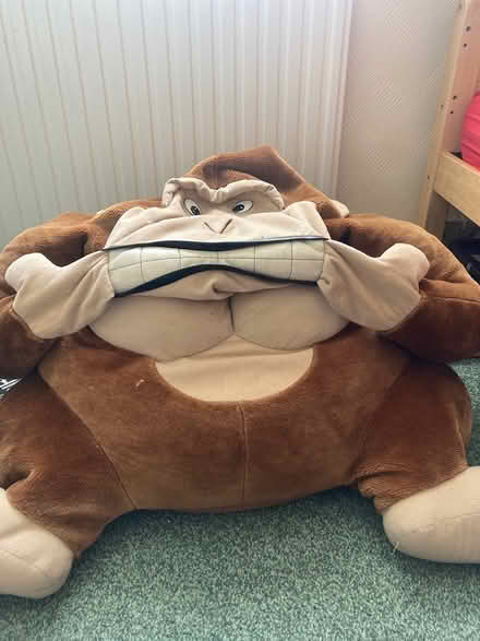 Photo of free Donkey Kong bean bag (Bexhill TN40) #1