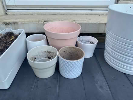 Photo of free Plant pots and planters (E11) #3