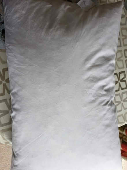 Photo of free Very soft feathered pillow (Duffield DE56) #1