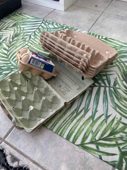 Photo of free Egg boxes (Gloucester) #1