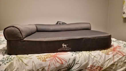 Photo of free Memory foam bolster dog bed (Kidlington OX5) #3