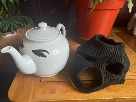 Photo of free Teapot (Hatfield, AL10) #1