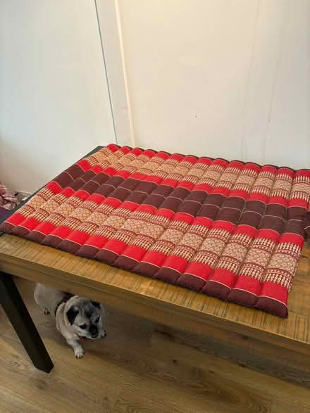 Photo of free Meditation mat & cushion set (Hatfield) #3