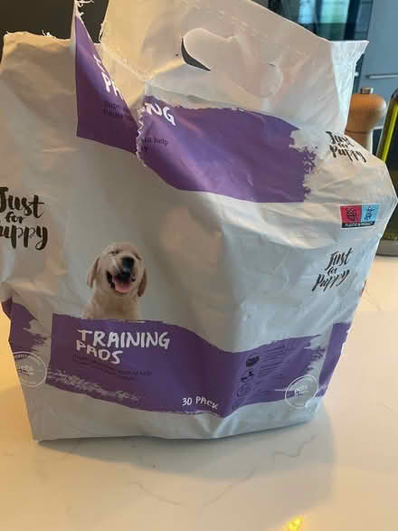 Photo of free Puppy Training Pads (Pembury TN2) #1