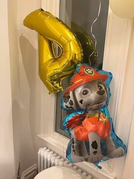 Photo of free Ballon Arch/ Garland (Cheam) #3