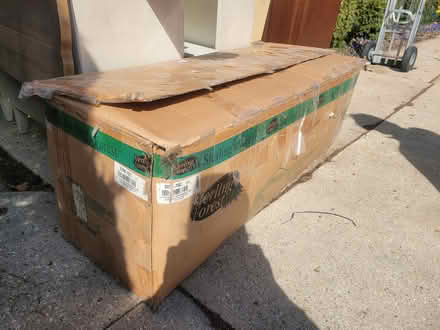 Photo of free Fake tree (North Lombard) #1