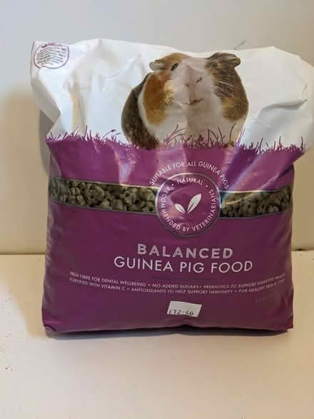 Photo of free Guinea pig food nuggets 1.6kg bag. 4.5" bowl (Ranmoor S10) #3