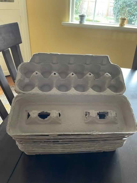 Photo of free Egg cartons, 13 (NE Portland (NE Couch & 32nd)) #1