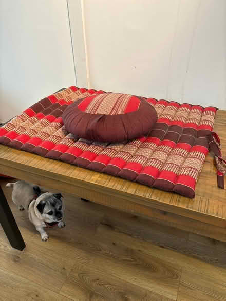 Photo of free Meditation mat & cushion set (Hatfield) #4