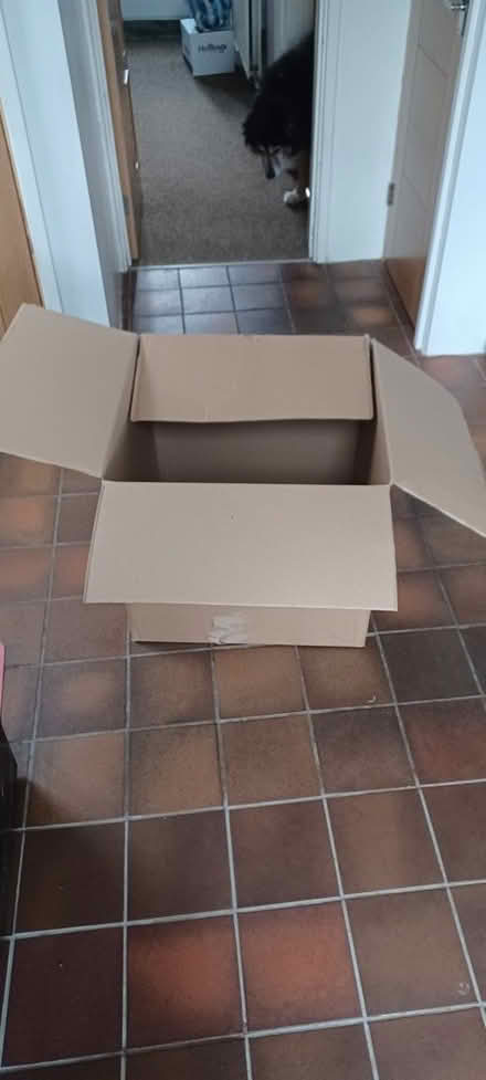Photo of free Large Heavy Duty Box (Stotfold, SG5) #1
