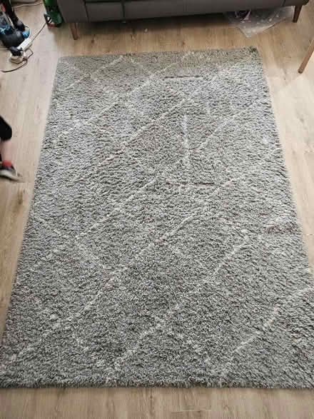Photo of free Dunelm rug- royal nomadic living (Baberton) #2