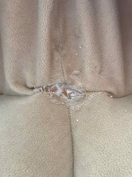 Photo of free Donkey Kong bean bag (Bexhill TN40) #2