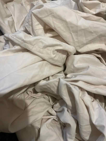 Photo of free Bedsheets for use decorating (L13) #1